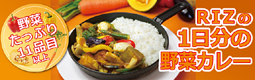 一日分の野菜カレー